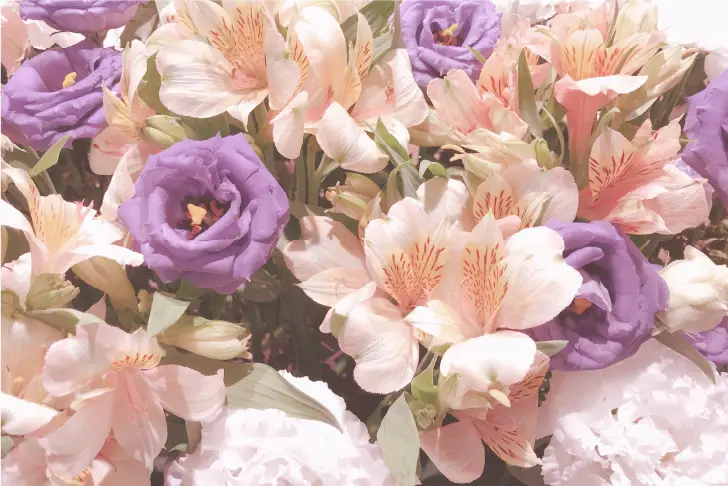 供花・供物のご注文